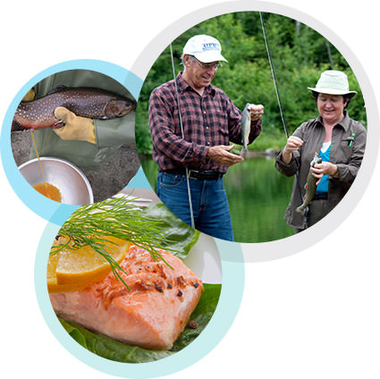 Production, transformation et commercialisation du poisson de pisciculture du Québec