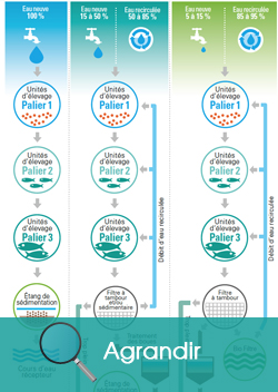 Agrandir le schéma pour la Différents systèmes d'aquaculture au Québec selon l'apport d'eau neuve
